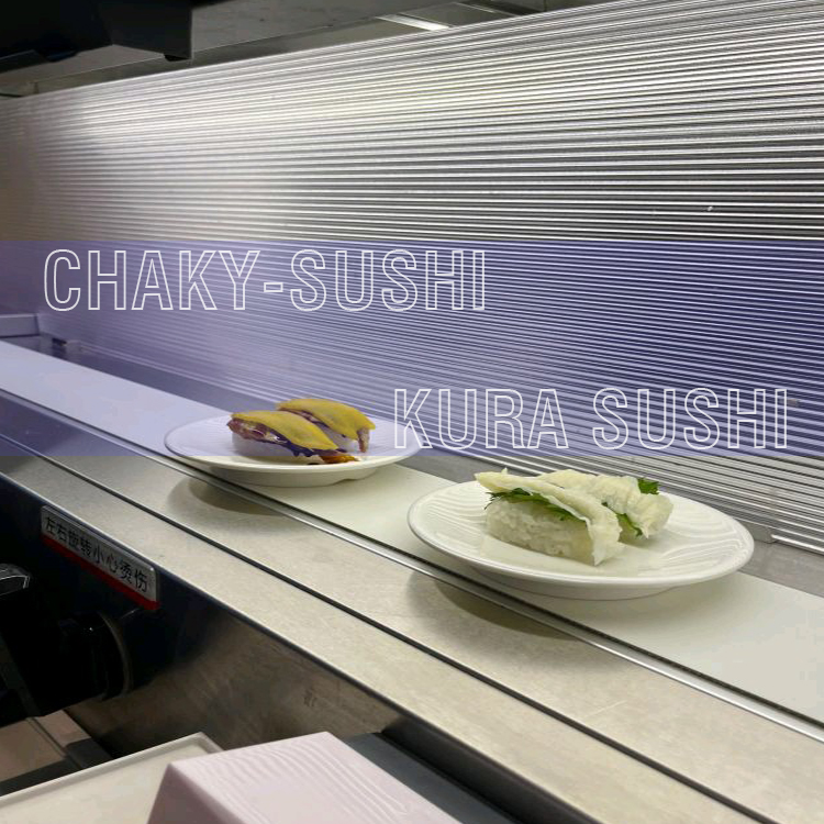 高速送餐皮带设备